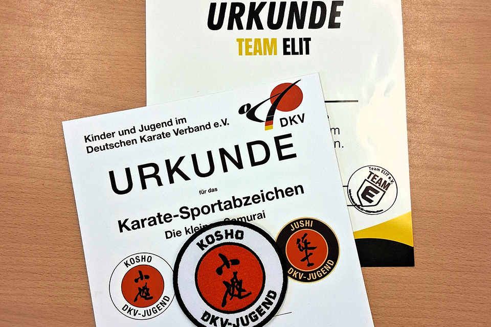 DRK Kita Bienenkorb - Karate Urkunde DRK Kita Bienenkorb - Karate Urkunde