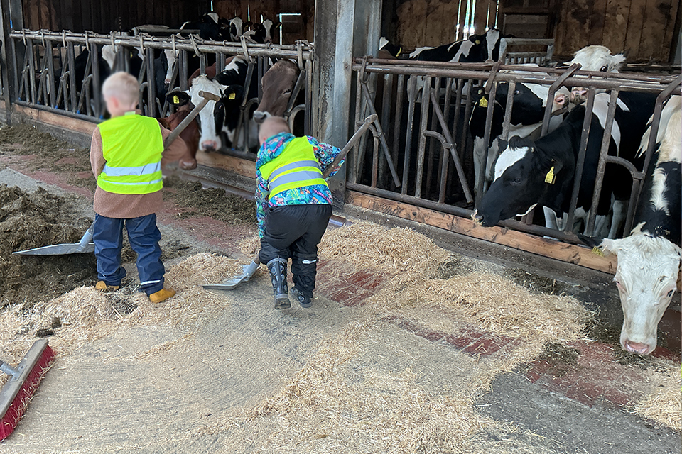 DRK Kita Bullerbü - Bauernhofbesuch Kalverlage/Brink DRK Kita Bullerbü - Bauernhofbesuch Kalverlage/Brink