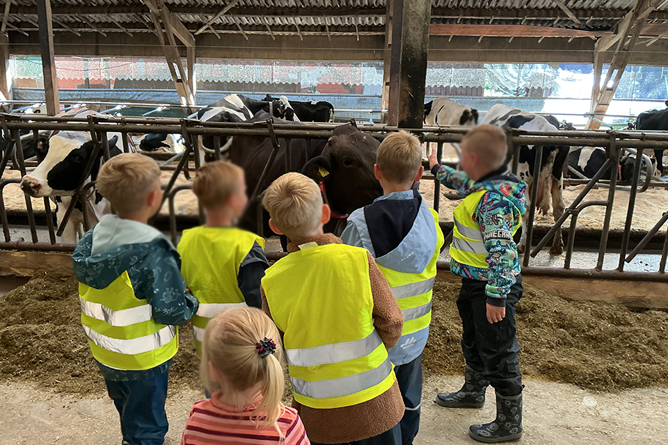 DRK Kita Bullerbü - Bauernhofbesuch Kalverlage/Brink DRK Kita Bullerbü - Bauernhofbesuch Kalverlage/Brink