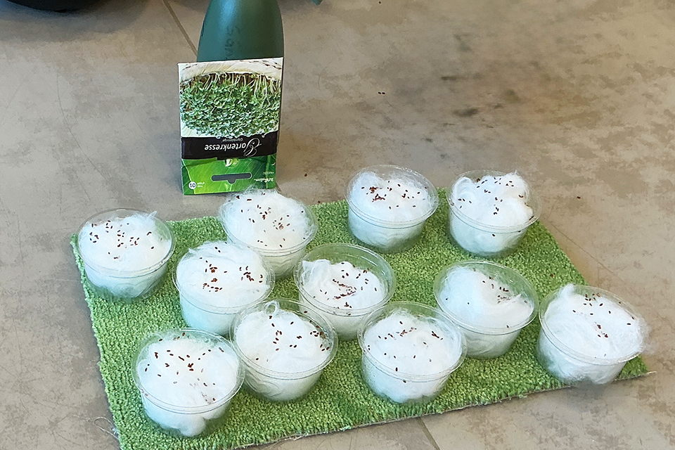 DRK Kita Bullerbü - Ostern & Frühling