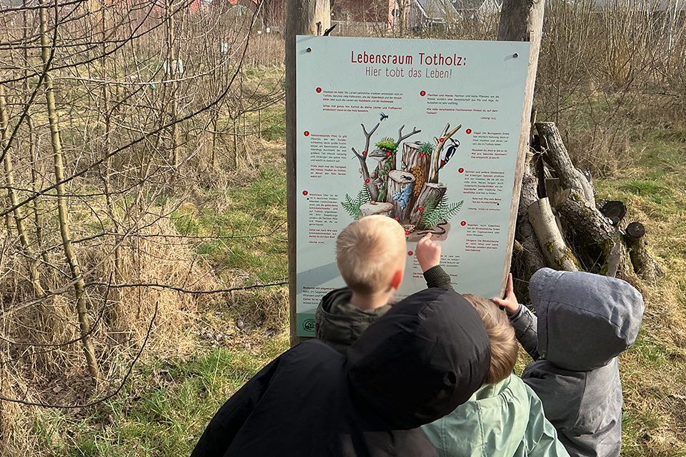 DRK Kita Bullerbü - Schulwaldbesuch