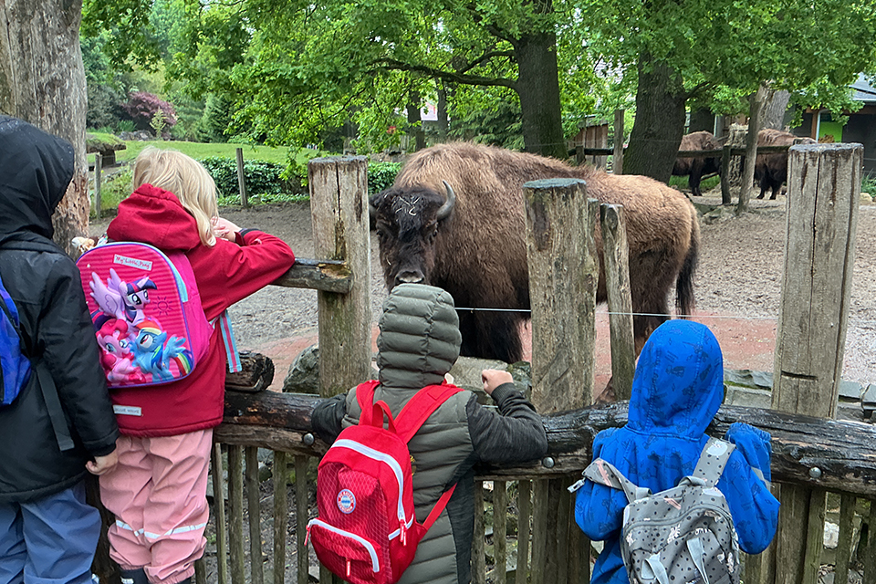 DRK Kita Bullerbü - Besuch im Tierpark