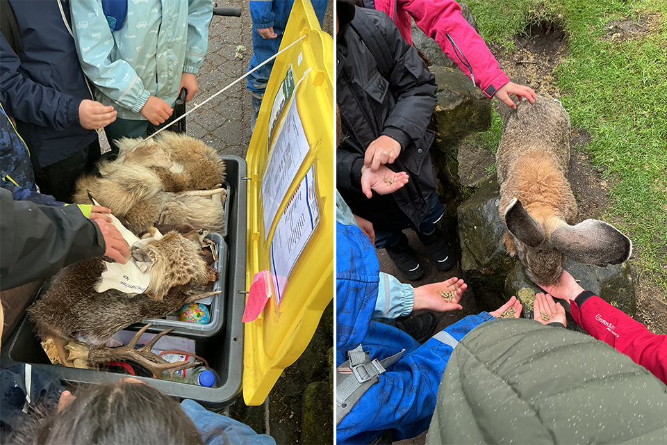 DRK Kita Bullerbü - Besuch im Tierpark