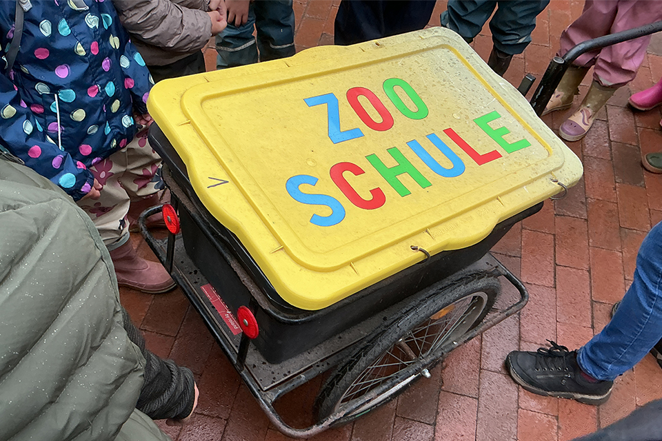 DRK Kita Bullerbü - Besuch im Tierpark