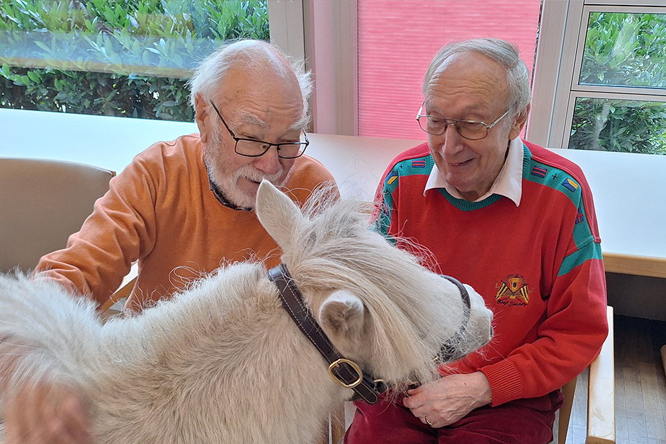 DRK Pflegezentrum Am Schlosspark - Ponybesuch DRK Pflegezentrum Am Schlosspark - Ponybesuch