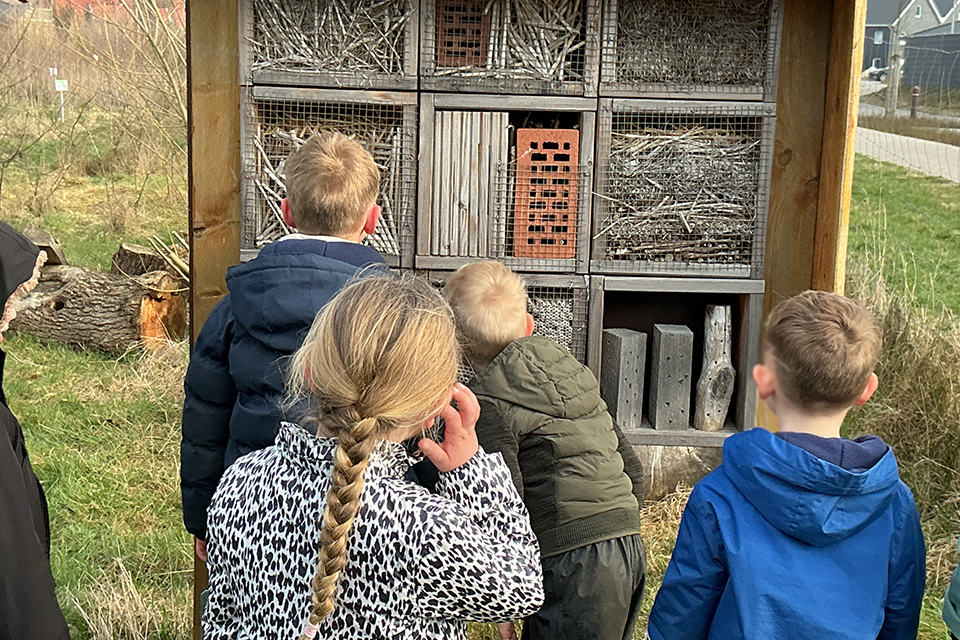 DRK Kita Bullerbü - Schulwaldbesuch