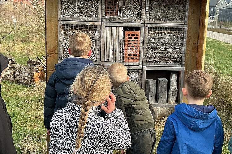 DRK Kita Bullerbü - Schulwaldbesuch