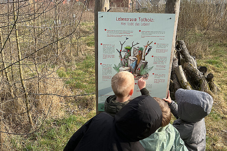 DRK Kita Bullerbü - Schulwaldbesuch