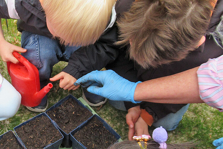 DRK Kindertagessätte Kaiserhof in Bad Bentheim