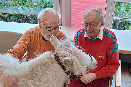 DRK Pflegezentrum Am Schlosspark - Ponybesuch