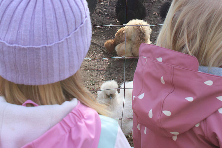 DRK Kita Bullerbü - Ostern & Frühling
