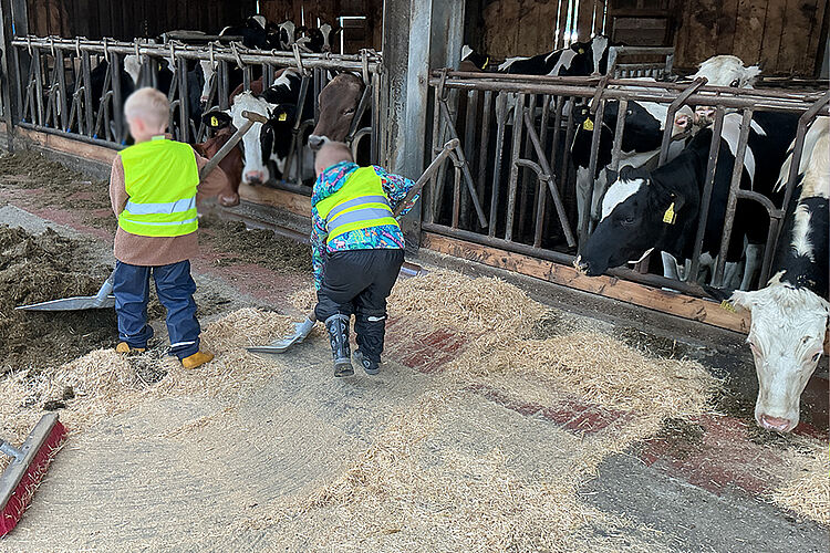 DRK Kita Bullerbü - Bauernhofbesuch Kalverlage/Brink DRK Kita Bullerbü - Bauernhofbesuch Kalverlage/Brink