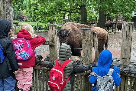 DRK Kita Bullerbü - Besuch im Tierpark